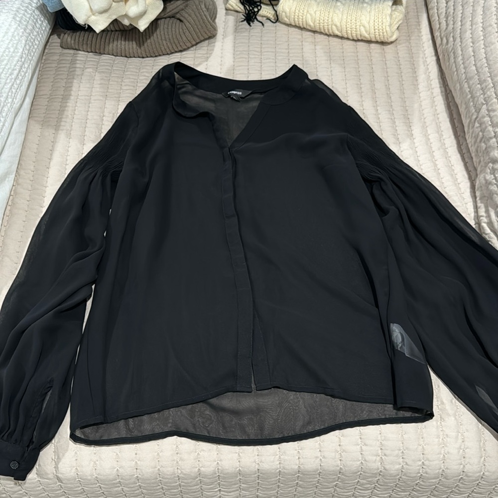 Express Sheer Black Long Sleeve Button Up